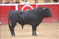Jose Antonio Pinto (118)